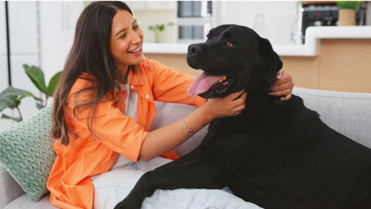 woman inside with dog on couch