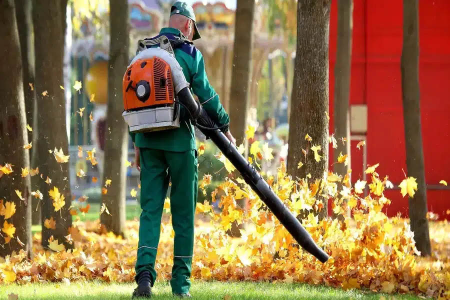 Expert Leaf Cleanup Tips Master Fall Leaves Like a Pro Landscaper
