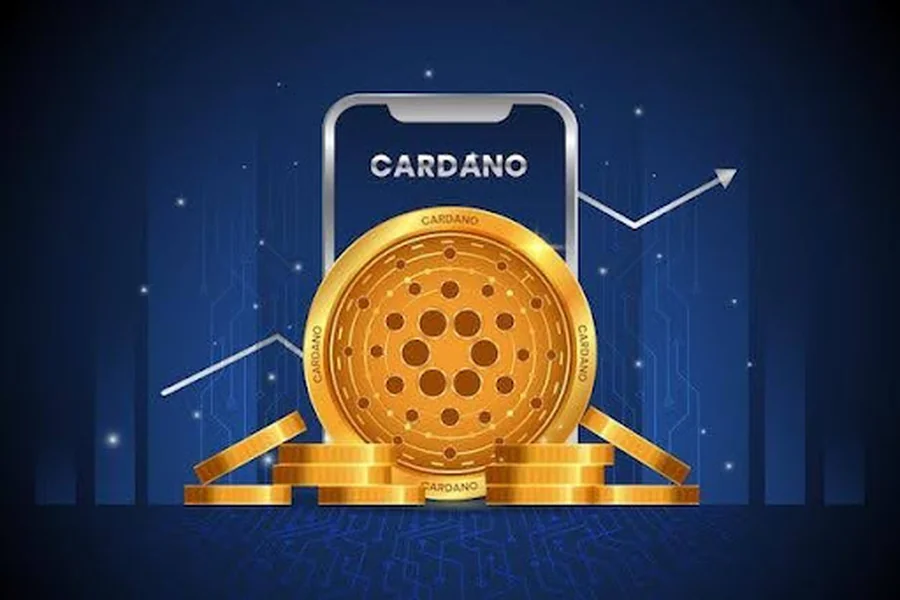 Why should businesses choose Cardano for exploring Web3 solutions in 2025