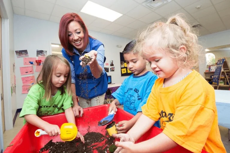 Emerging vs. Established Preschool Brands: A Franchise Buyer’s Guide