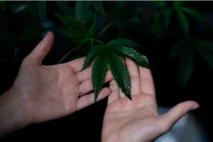 4 Steps to Building a Better Harvest through Strong Foundations