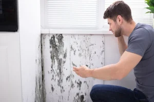 How to Sell a House With Mold or Water Damage