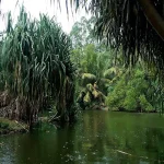 What Defines an Eco Park in Punta Cana