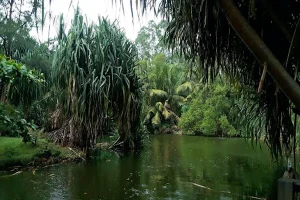 What Defines an Eco Park in Punta Cana