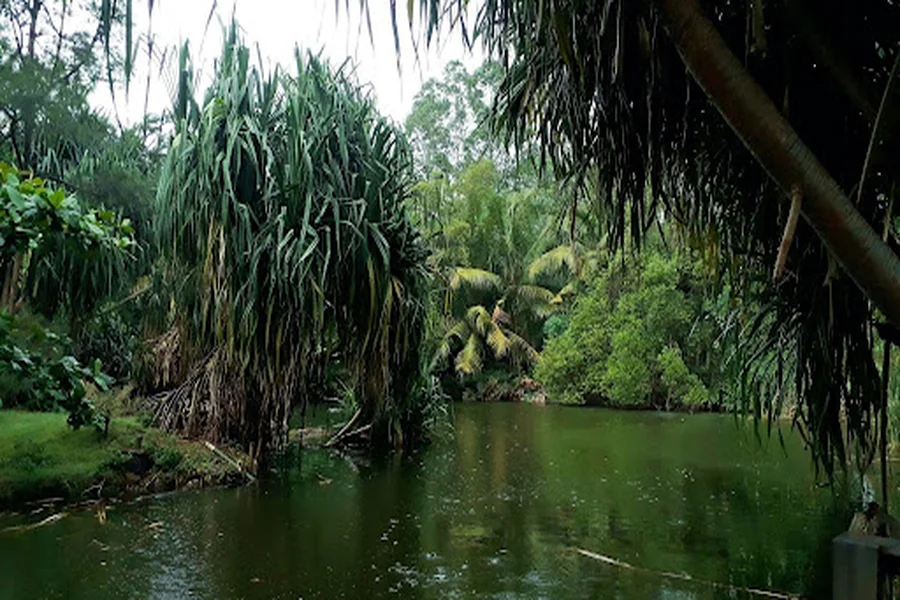 What Defines an Eco Park in Punta Cana