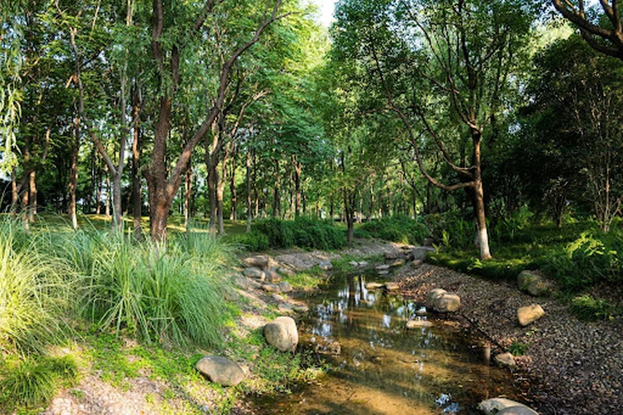What Defines an Eco Park in Punta Cana