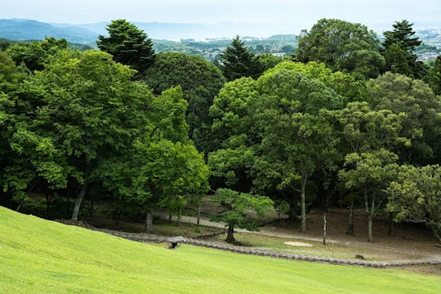 What Defines an Eco Park in Punta Cana