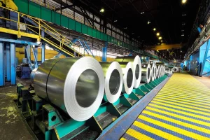 Heavy Metals in Everyday Life: What Is Worth Knowing