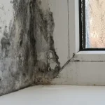 Humidity