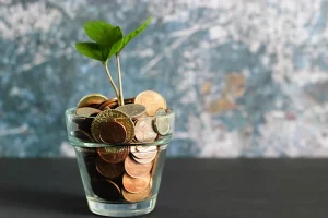 Why Every Working Professional Should Understand Disability Benefits