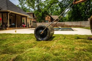 5 Essential Lawn Care Tips For A Greener Grass