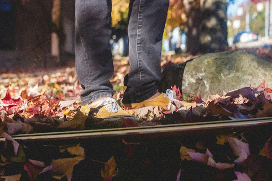 Autumn