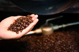 Why 100% Kona Coffee Is Among the World’s Most Prized