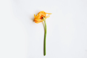 The Art of Being Taken Care Of: Why Letting Go of Control Feels So Good