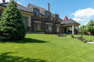 How Freedom Lawns Helps Create A Healthier, Greener Yard