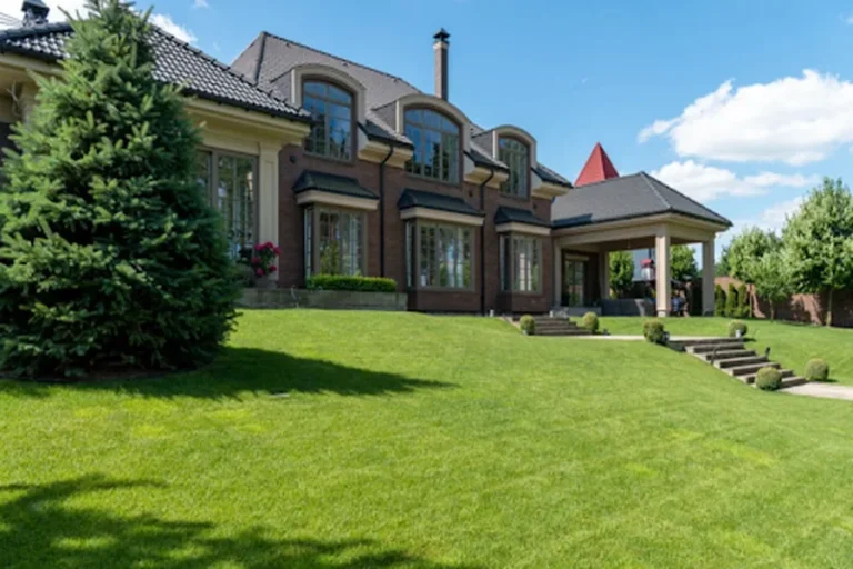 How Freedom Lawns Helps Create A Healthier, Greener Yard