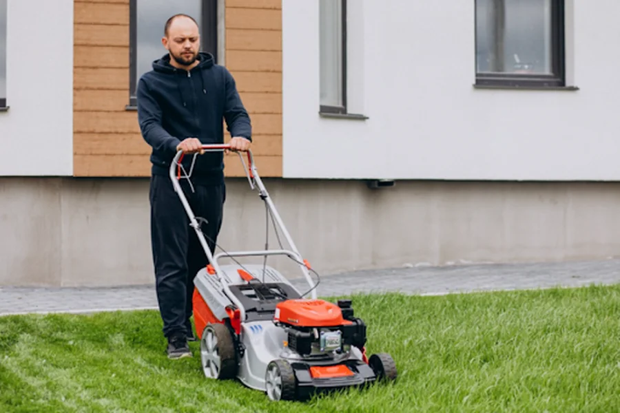 Lawn 