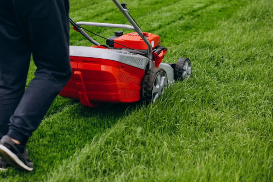 Lawn 