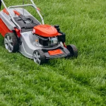 Lawn
