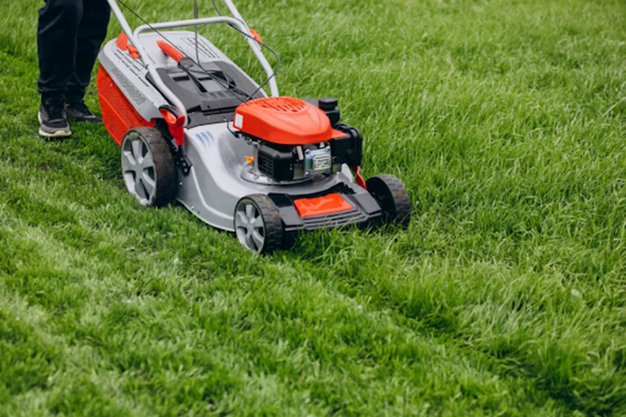 Lawn