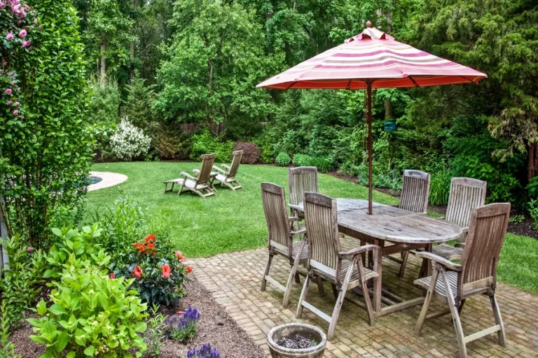 The Overlooked Backyard Conditions That Make Mosquito Problems Worse