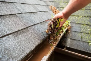What Gutter Overflow Can Tell You About Your Home