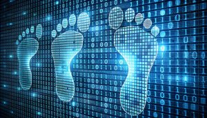 Your DUI Lives Online: The Digital Footprint of an Arrest in the Internet Age